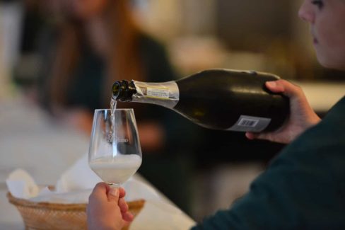 Cena della vendemmia