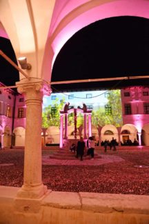 Festa dell'Uva Conegliano