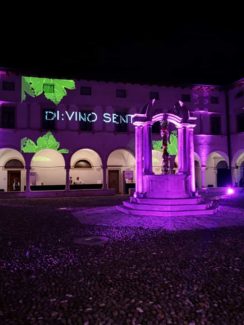 Festa dell'Uva Conegliano